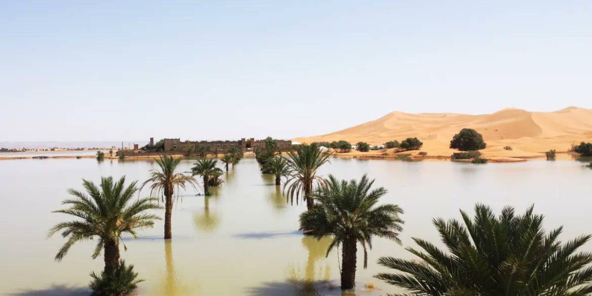 Las imágenes de las raras inundaciones en el desierto del Sahara que no ocurrían desde hace 50 años