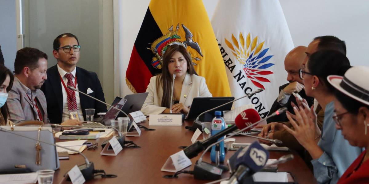 La Asamblea aprobó el informe para segundo debate del proyecto de Ley de Inteligencia