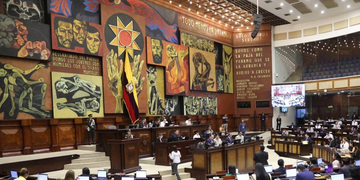 Algunas normas del proyecto de la Ley de Inteligencia genera preocupación en el Pleno de la Asamblea